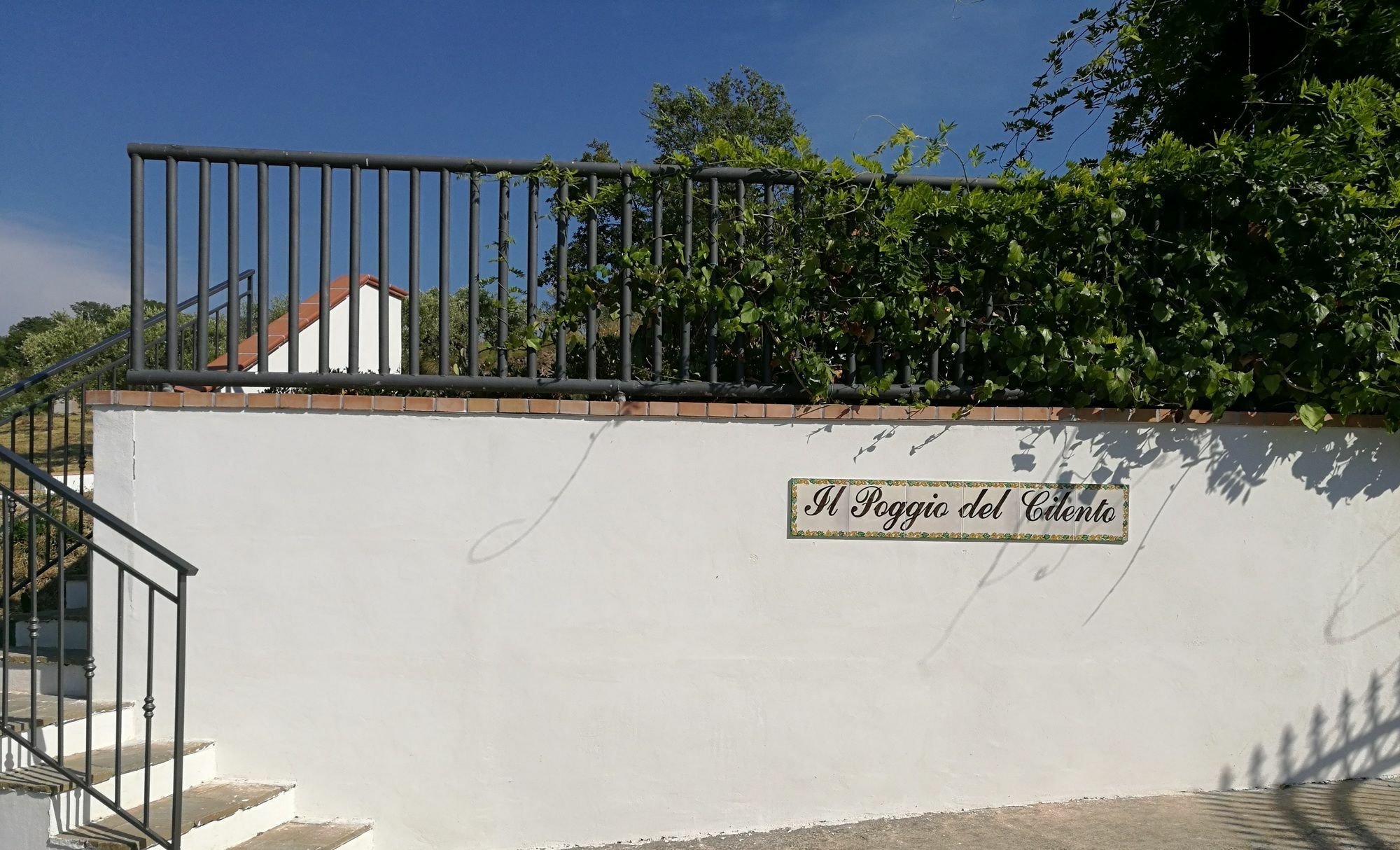 Il Poggio Del Cilento Country House Agropoli Eksteriør bilde
